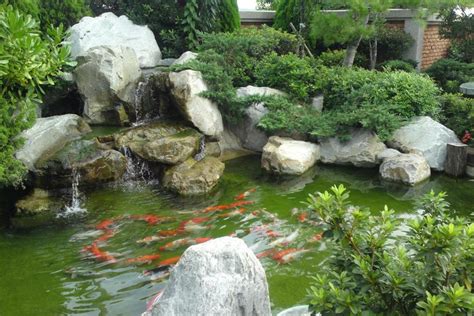 魚池風水|【魚池風水】庭園魚池風水指南：破解常見的禁忌，打造招財納福。